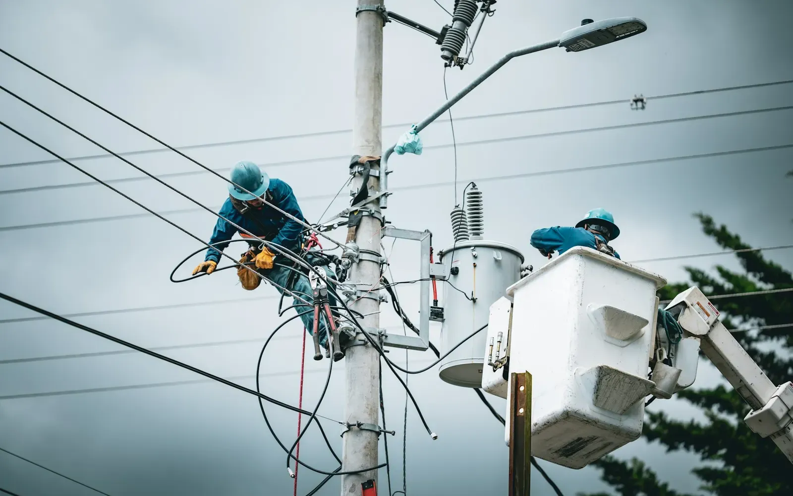 Construcción de redes — Zona Norte (Consorcio Alfa)